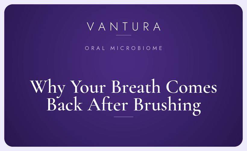 Why your breath comes back after brushing — Vantura