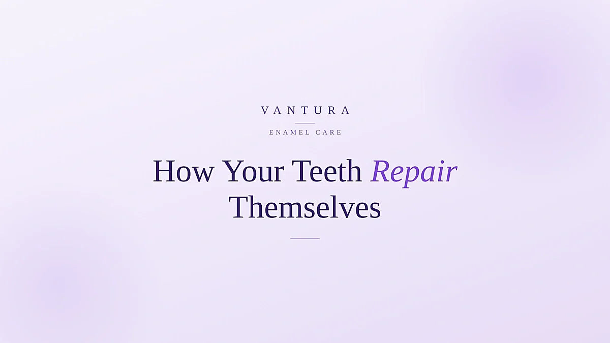 Remineralisation 101 - how your teeth repair themselves every day - Vantura