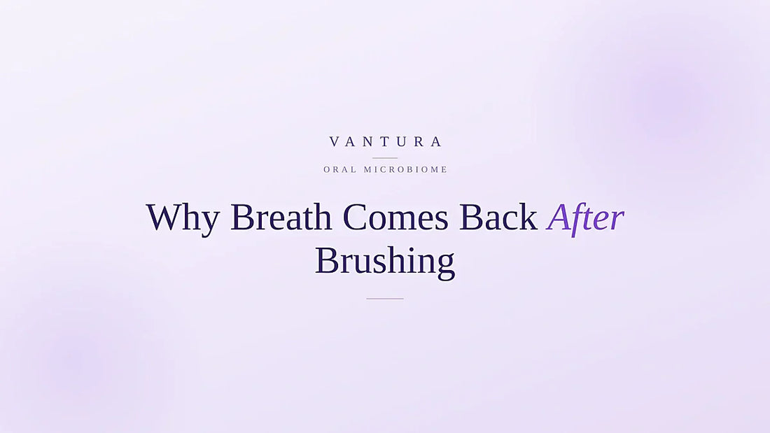 Why breath comes back minutes after brushing - Vantura oral microbiome guide