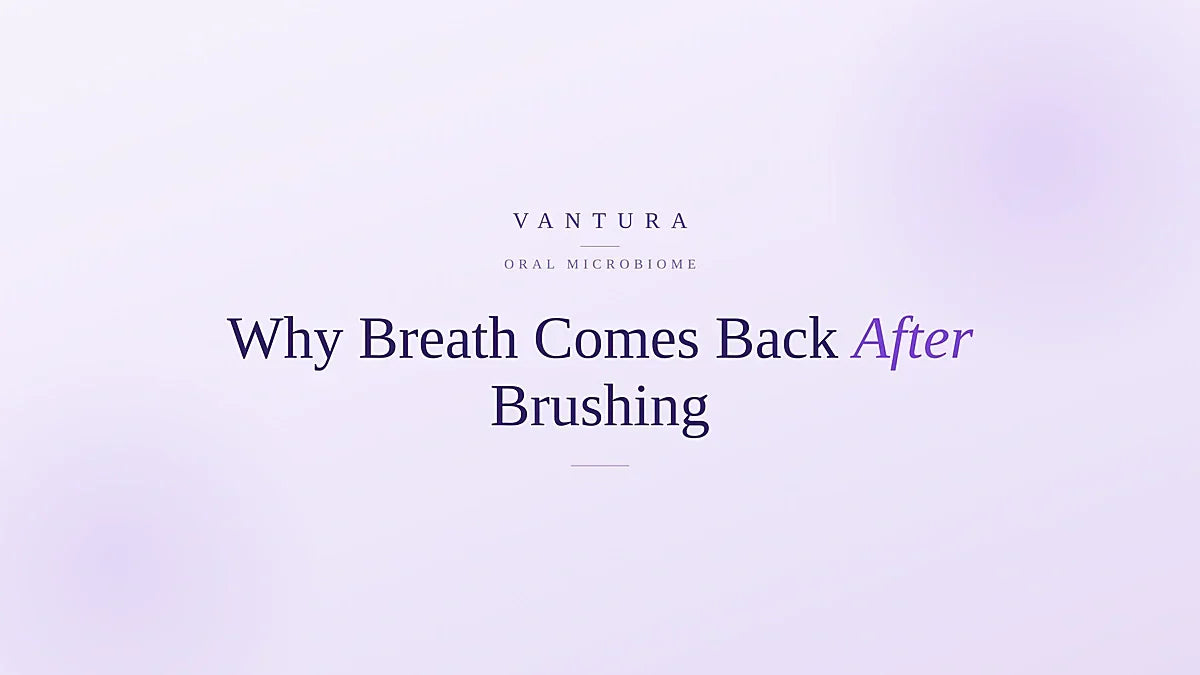 Why breath comes back minutes after brushing - Vantura oral microbiome guide